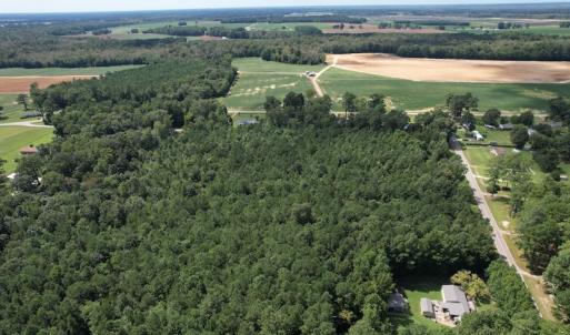 Photo #14 of SOLD property in Off Williams Loop Road, Roper, NC 9.1 acres