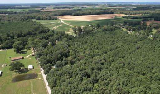 Photo #15 of SOLD property in Off Williams Loop Road, Roper, NC 9.1 acres
