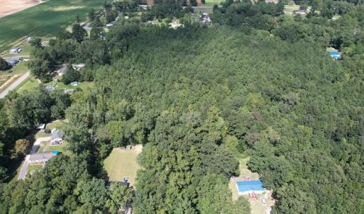 Photo #16 of SOLD property in Off Williams Loop Road, Roper, NC 9.1 acres