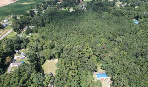 Photo #16 of SOLD property in Off Williams Loop Road, Roper, NC 9.1 acres