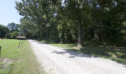 Photo #17 of SOLD property in Off Williams Loop Road, Roper, NC 9.1 acres