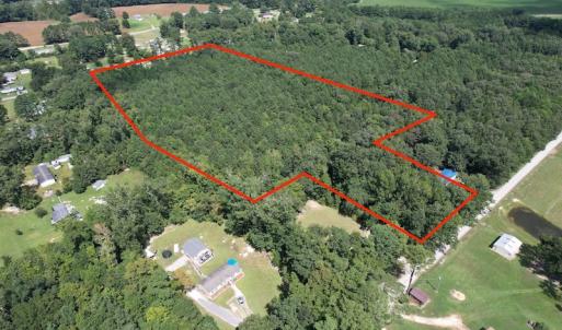 Photo #4 of SOLD property in Off Williams Loop Road, Roper, NC 9.1 acres