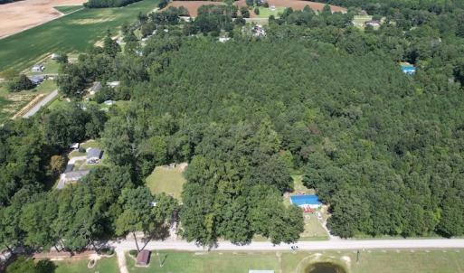 Photo #5 of SOLD property in Off Williams Loop Road, Roper, NC 9.1 acres