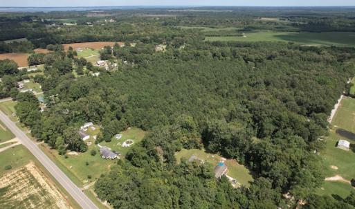Photo #7 of SOLD property in Off Williams Loop Road, Roper, NC 9.1 acres