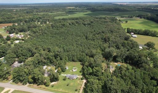 Photo #8 of SOLD property in Off Williams Loop Road, Roper, NC 9.1 acres