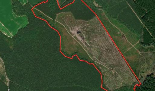 Photo #2 of Off Hwy 258, Como, NC 175.0 acres