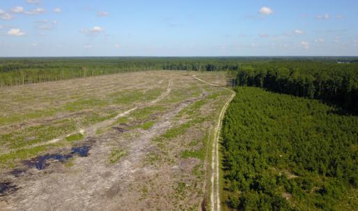 Photo #3 of Off Hwy 258, Como, NC 175.0 acres
