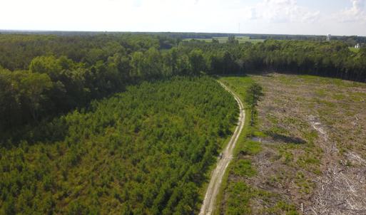 Photo #6 of Off Hwy 258, Como, NC 175.0 acres