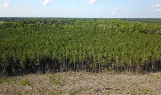 Photo #7 of Off Hwy 258, Como, NC 175.0 acres