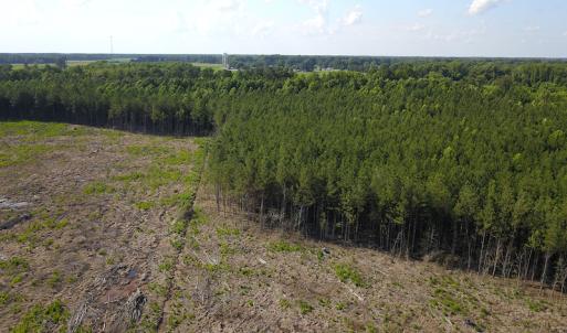 Photo #8 of Off Hwy 258, Como, NC 175.0 acres
