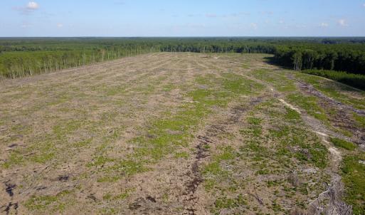 Photo #9 of Off Hwy 258, Como, NC 175.0 acres
