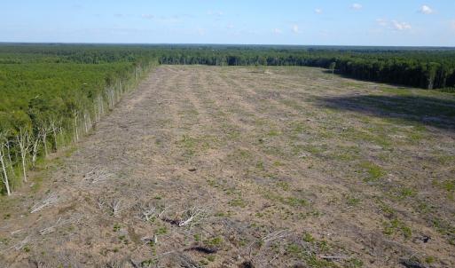 Photo #10 of Off Hwy 258, Como, NC 175.0 acres