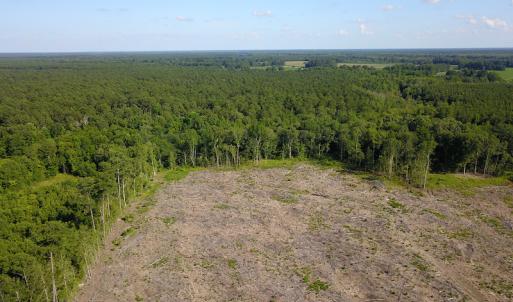 Photo #11 of Off Hwy 258, Como, NC 175.0 acres