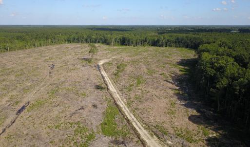 Photo #13 of Off Hwy 258, Como, NC 175.0 acres