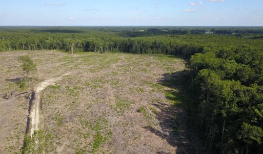 Photo #14 of Off Hwy 258, Como, NC 175.0 acres