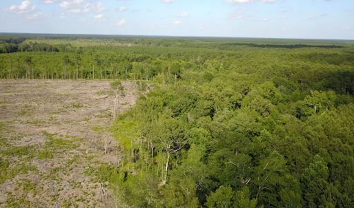 Photo #15 of Off Hwy 258, Como, NC 175.0 acres