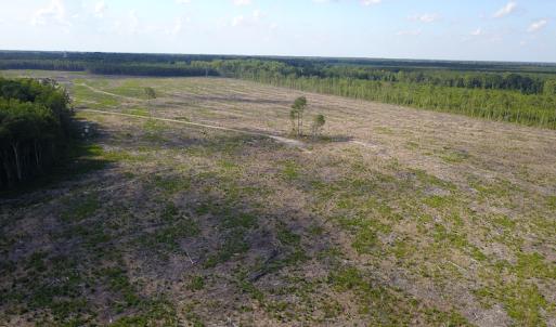 Photo #17 of Off Hwy 258, Como, NC 175.0 acres