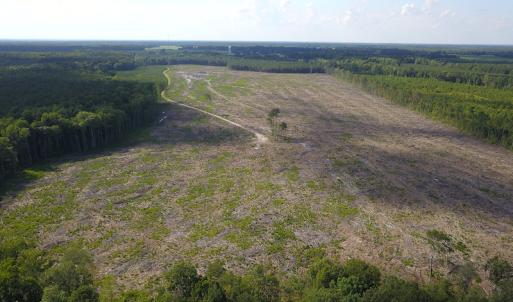 Photo #18 of Off Hwy 258, Como, NC 175.0 acres