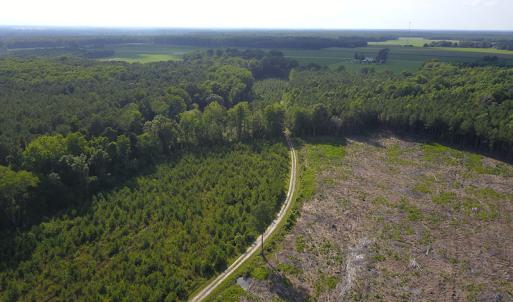 Photo #19 of Off Hwy 258, Como, NC 175.0 acres
