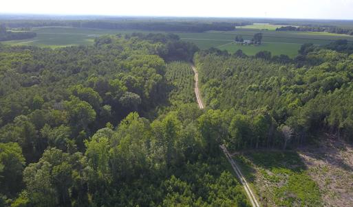 Photo #20 of Off Hwy 258, Como, NC 175.0 acres