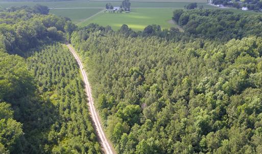 Photo #21 of Off Hwy 258, Como, NC 175.0 acres