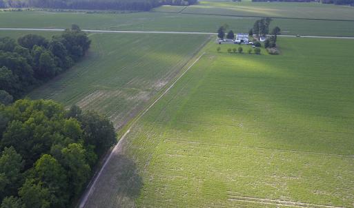 Photo #22 of Off Hwy 258, Como, NC 175.0 acres