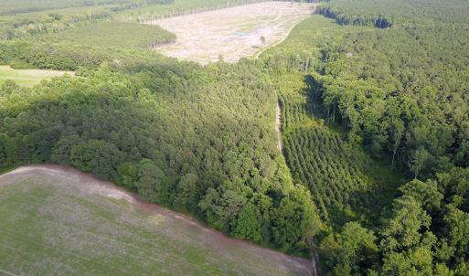 Photo #23 of Off Hwy 258, Como, NC 175.0 acres