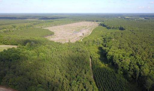 Photo #24 of Off Hwy 258, Como, NC 175.0 acres