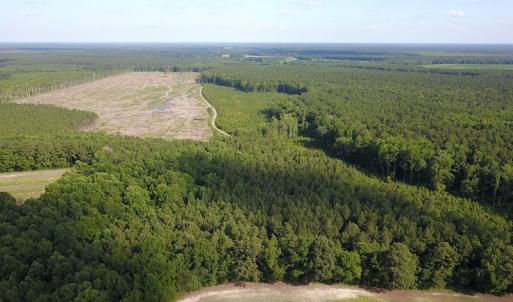 Photo #25 of Off Hwy 258, Como, NC 175.0 acres