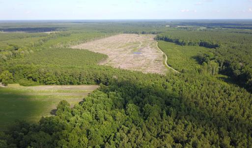 Photo #26 of Off Hwy 258, Como, NC 175.0 acres
