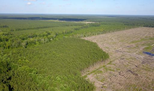 Photo #27 of Off Hwy 258, Como, NC 175.0 acres