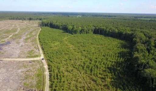 Photo #28 of Off Hwy 258, Como, NC 175.0 acres