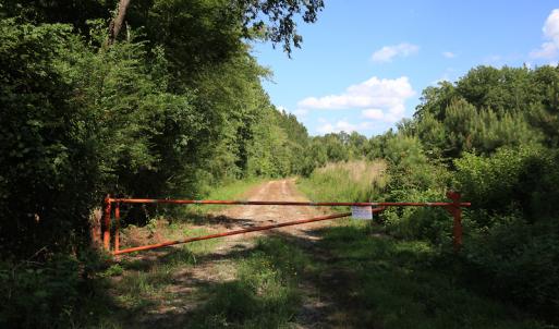 Photo #29 of Off Hwy 258, Como, NC 175.0 acres