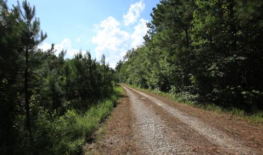 Photo #30 of Off Hwy 258, Como, NC 175.0 acres