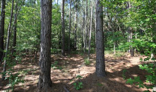 Photo #31 of Off Hwy 258, Como, NC 175.0 acres