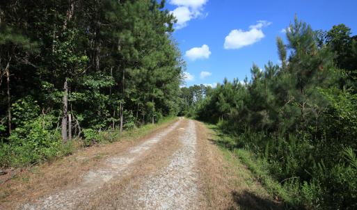 Photo #32 of Off Hwy 258, Como, NC 175.0 acres
