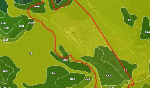 Photo #39 of Off Hwy 258, Como, NC 175.0 acres