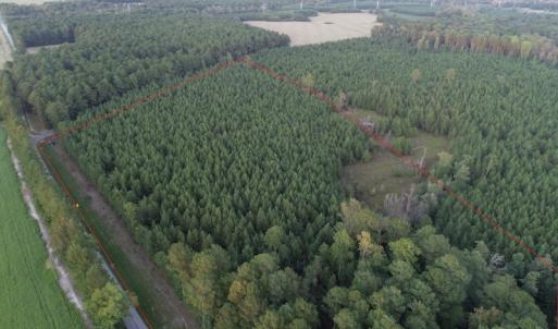 Photo #9 of SOLD property in Off Beaver Dam Road, Waverly, VA 20.0 acres