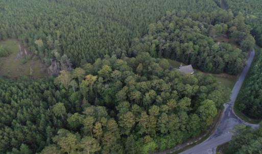Photo #10 of SOLD property in Off Beaver Dam Road, Waverly, VA 20.0 acres