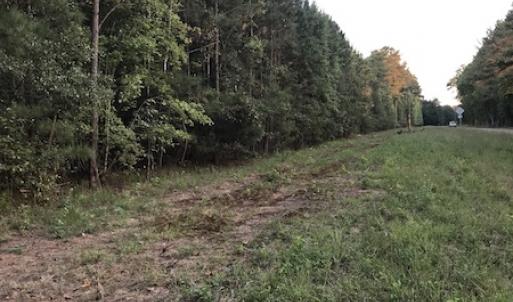 Photo #11 of SOLD property in Off Beaver Dam Road, Waverly, VA 20.0 acres