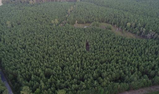 Photo #18 of SOLD property in Off Beaver Dam Road, Waverly, VA 20.0 acres