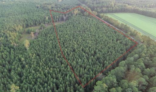 Photo #2 of SOLD property in Off Beaver Dam Road, Waverly, VA 20.0 acres