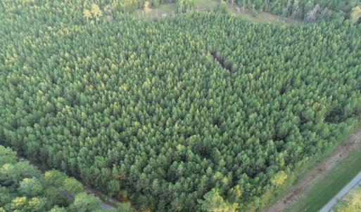 Photo #3 of SOLD property in Off Beaver Dam Road, Waverly, VA 20.0 acres