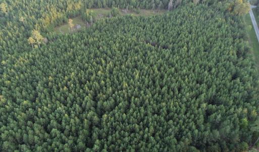 Photo #4 of SOLD property in Off Beaver Dam Road, Waverly, VA 20.0 acres