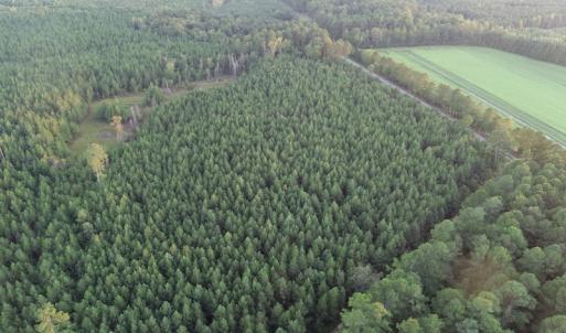 Photo #6 of SOLD property in Off Beaver Dam Road, Waverly, VA 20.0 acres