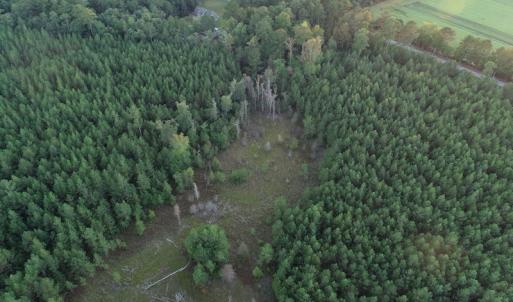 Photo #7 of SOLD property in Off Beaver Dam Road, Waverly, VA 20.0 acres