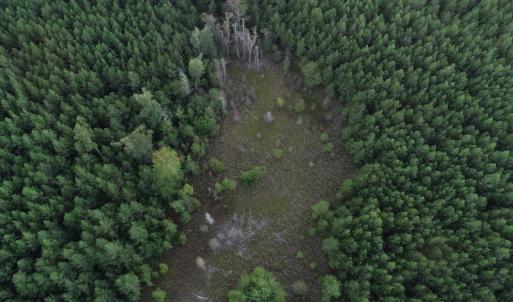 Photo #8 of SOLD property in Off Beaver Dam Road, Waverly, VA 20.0 acres