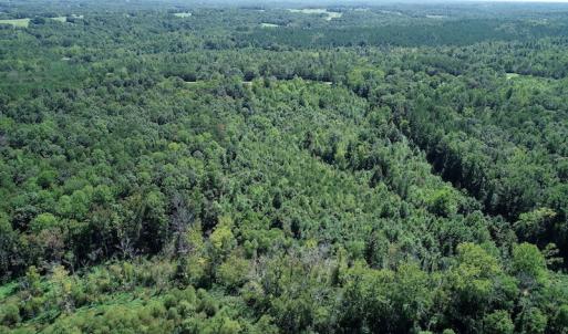 Photo #4 of SOLD property in Off Hightowers Road, Mebane, NC 14.1 acres