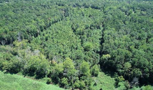 Photo #5 of SOLD property in Off Hightowers Road, Mebane, NC 14.1 acres
