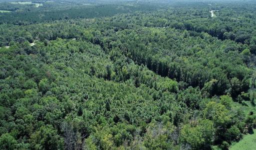 Photo #6 of SOLD property in Off Hightowers Road, Mebane, NC 14.1 acres
